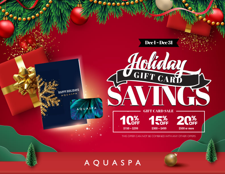 HOLIDAY GIFT CARD SAVINGS!